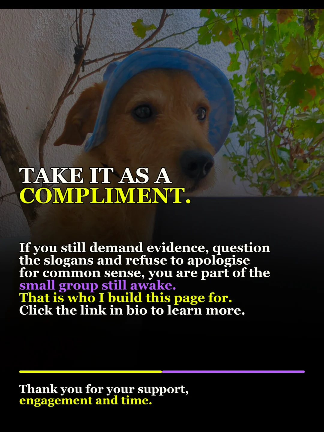 Centre-right IQ study: what the 586-person Brazilian sample found: original carousel slide 6 of 6